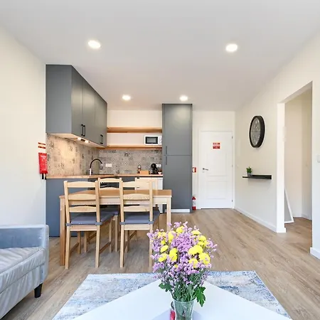 Andrade Corvo By Se * 브라가